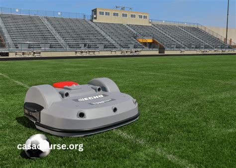 turf blogspot|ECHO TURF.